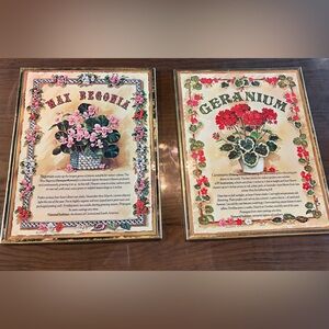 Vintage Botanical Framed Prints – Geranium & Wax Begonia 8x10